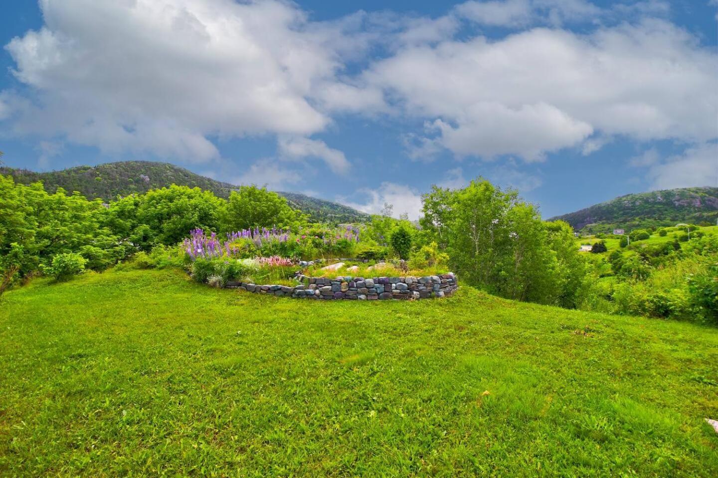 The Vista At Quidi Vidi - Stunning Views & Trails Villa St. John's Exterior photo